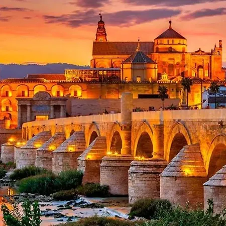 Ziza * Cordoba
